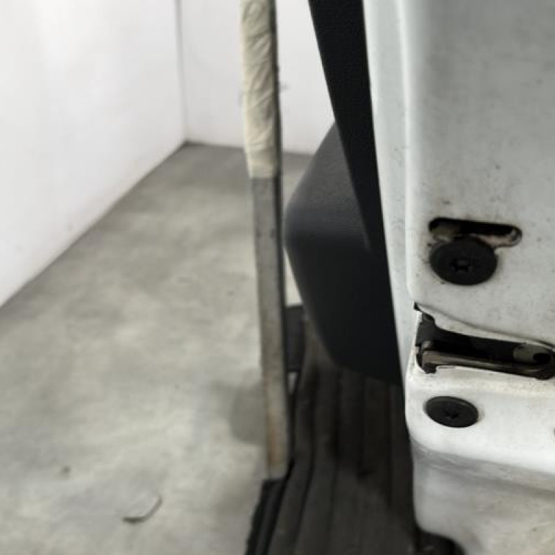 Porte arriere droit DACIA SANDERO 1 Photo n°3
