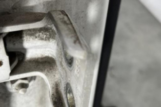 Porte arriere droit DACIA SANDERO 1