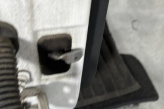 Porte arriere droit DACIA SANDERO 1