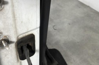 Porte avant droit DACIA SANDERO 1
