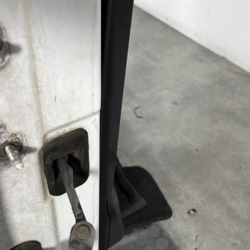 Porte avant droit DACIA SANDERO 1 Photo n°5