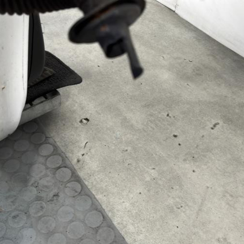 Porte avant droit DACIA SANDERO 1 Photo n°7
