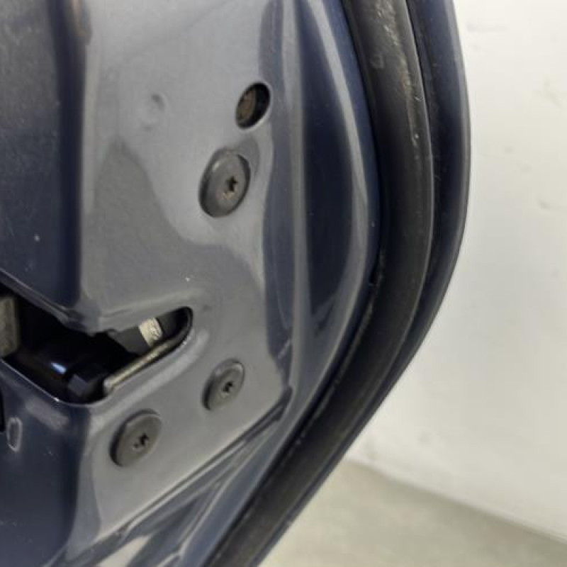Porte arriere droit RENAULT GRAND SCENIC 2 Photo n°3
