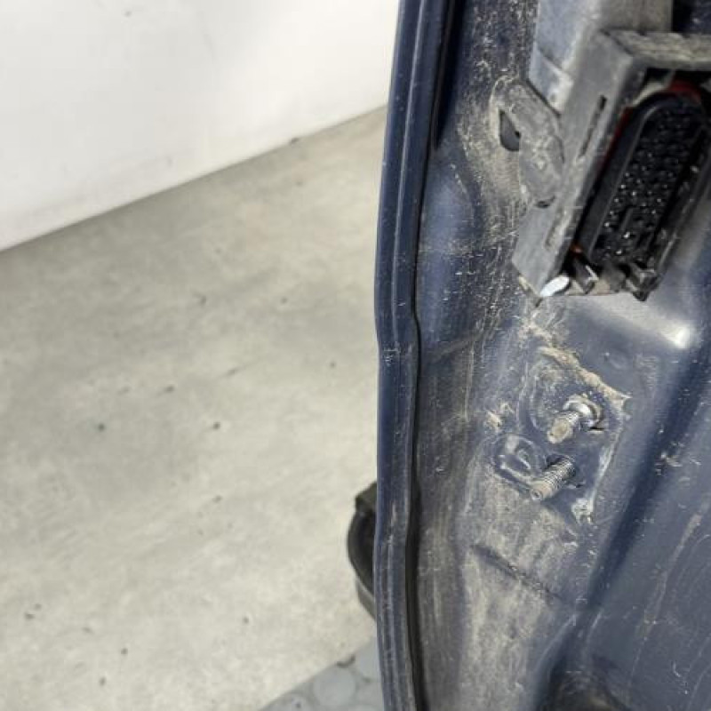Porte arriere droit RENAULT GRAND SCENIC 2 Photo n°5