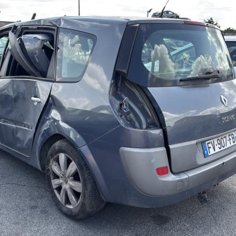 Porte arriere droit RENAULT GRAND SCENIC 2 Photo n°10