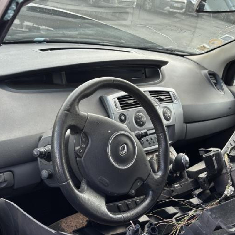 Porte arriere droit RENAULT GRAND SCENIC 2 Photo n°15