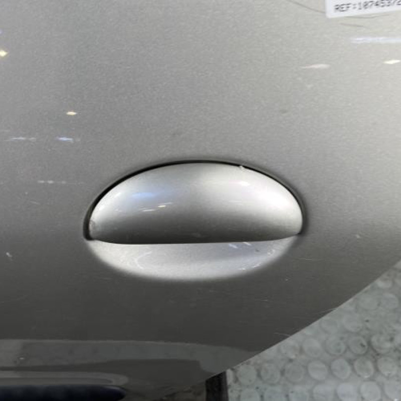 Porte arriere gauche PEUGEOT 206 Photo n°2