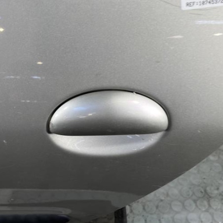 Porte arriere gauche PEUGEOT 206