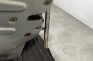 Porte arriere gauche PEUGEOT 206