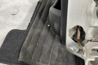 Porte arriere gauche PEUGEOT 206