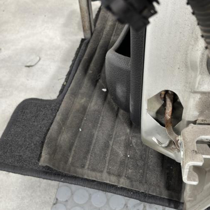 Porte arriere gauche PEUGEOT 206 Photo n°5