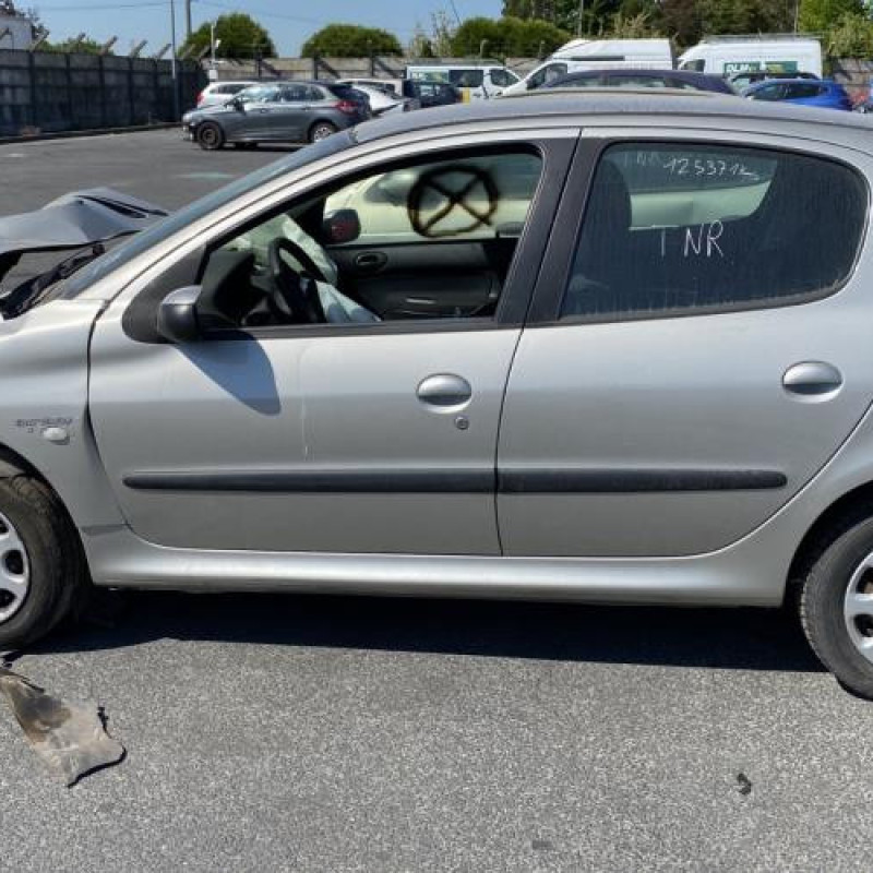 Porte arriere gauche PEUGEOT 206 Photo n°12