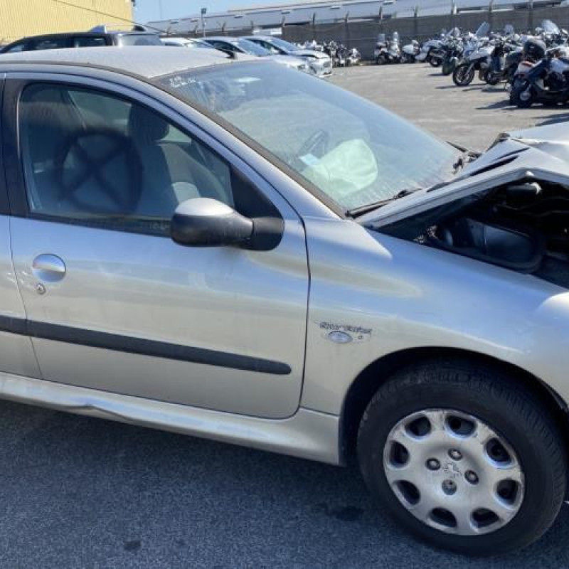 Porte arriere gauche PEUGEOT 206 Photo n°13