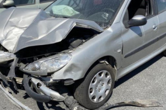Porte avant gauche PEUGEOT 206