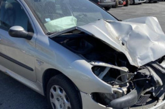 Porte avant gauche PEUGEOT 206