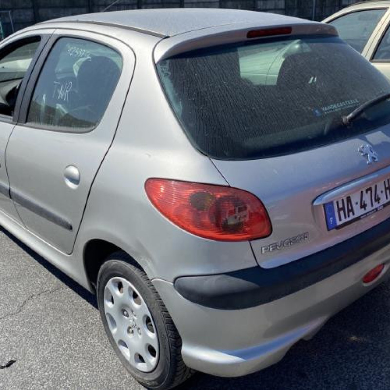 Porte avant gauche PEUGEOT 206 Photo n°10