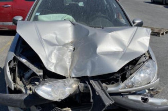 Porte avant gauche PEUGEOT 206