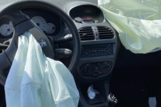 Porte avant gauche PEUGEOT 206