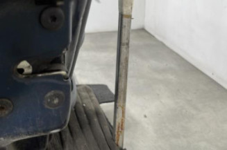 Porte arriere gauche RENAULT CLIO 2