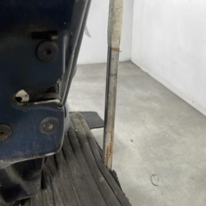 Porte arriere gauche RENAULT CLIO 2 Photo n°3