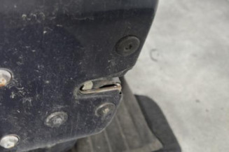 Porte avant gauche RENAULT CLIO 2