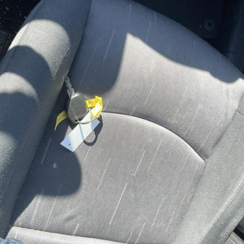 Porte avant gauche RENAULT CLIO 2 Photo n°8