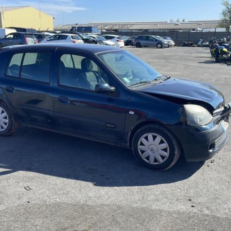 Porte avant gauche RENAULT CLIO 2 Photo n°11