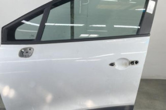 Porte avant gauche RENAULT CLIO 4 Photo n°1