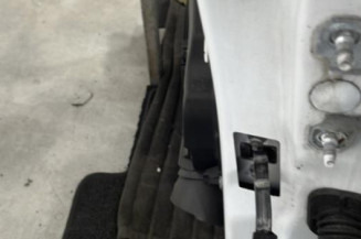 Porte avant gauche RENAULT CLIO 4