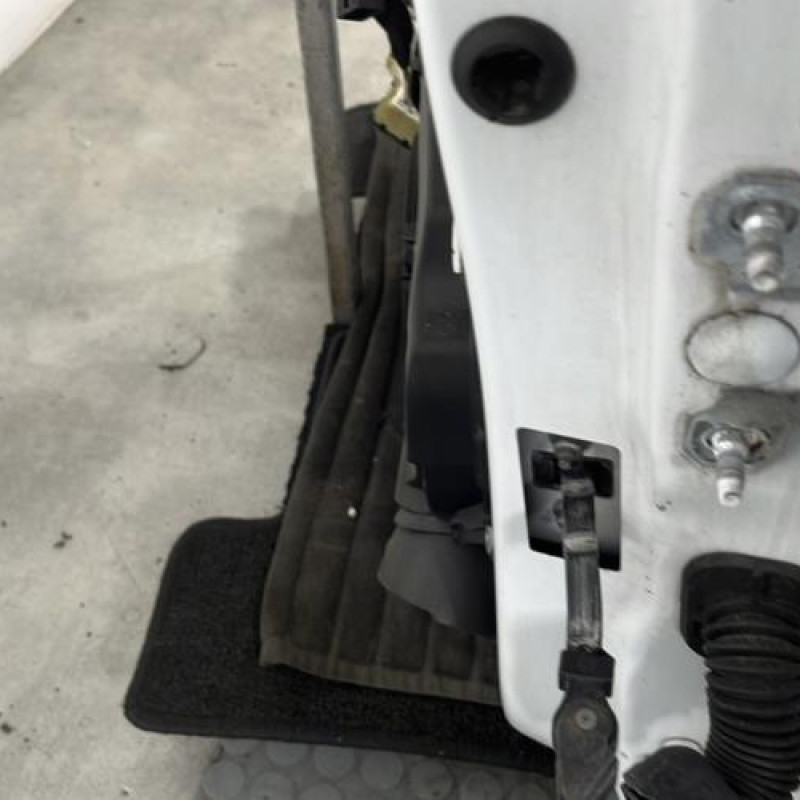 Porte avant gauche RENAULT CLIO 4 Photo n°2