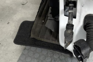 Porte avant gauche RENAULT CLIO 4