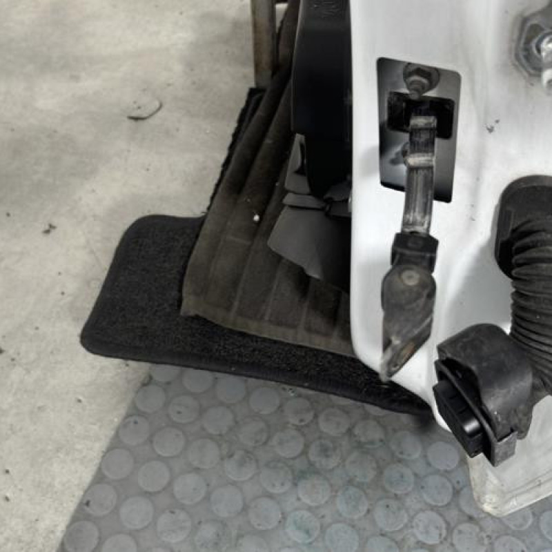 Porte avant gauche RENAULT CLIO 4 Photo n°3