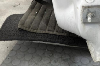 Porte avant gauche RENAULT CLIO 4