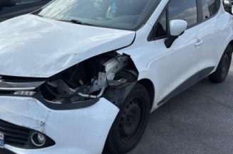 Porte avant gauche RENAULT CLIO 4