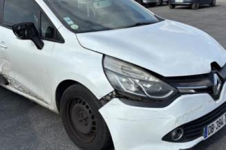 Porte avant gauche RENAULT CLIO 4