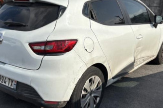 Porte avant gauche RENAULT CLIO 4