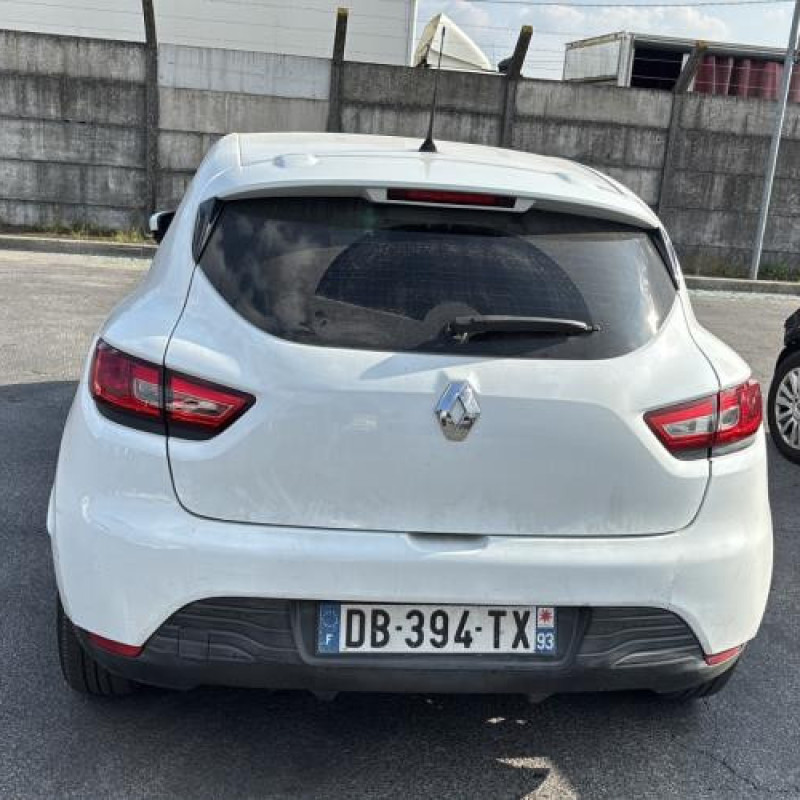 Porte avant gauche RENAULT CLIO 4 Photo n°10