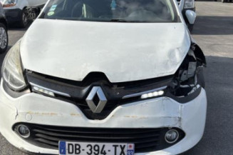 Porte avant gauche RENAULT CLIO 4