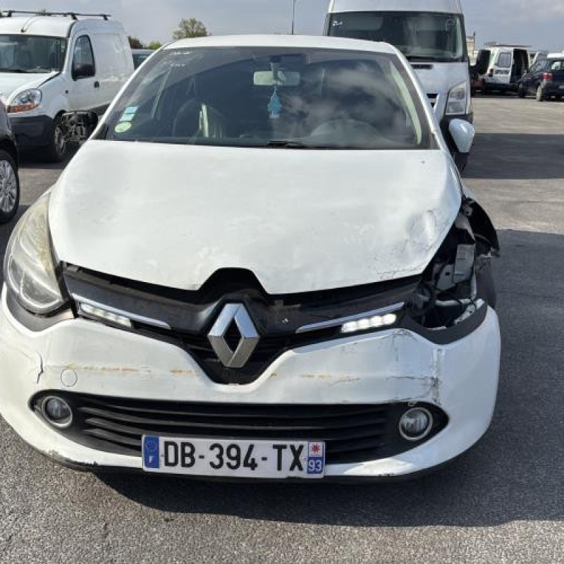 Porte avant gauche RENAULT CLIO 4 Photo n°13