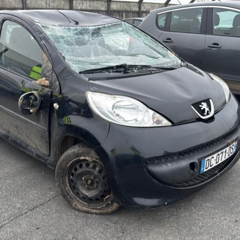 Porte arriere gauche PEUGEOT 107 Photo n°9