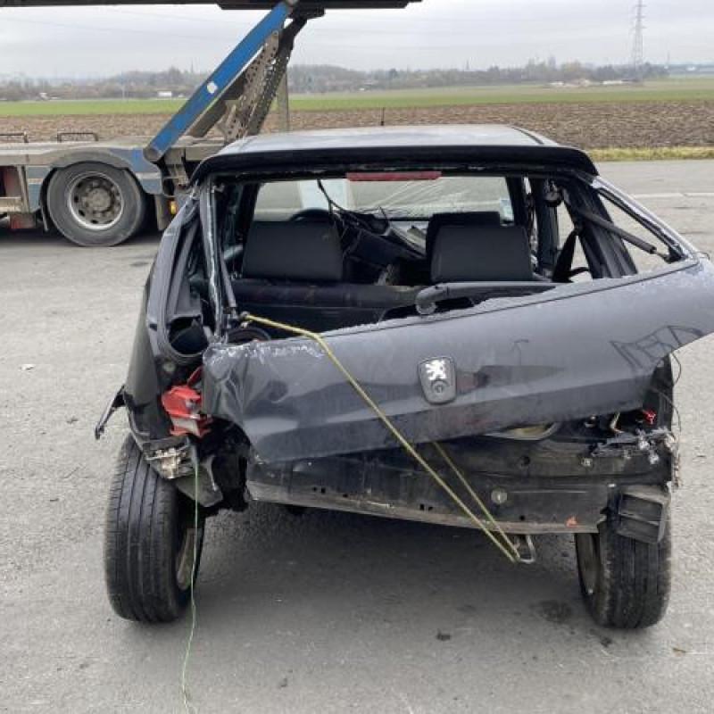 Porte avant gauche PEUGEOT 106 Photo n°9