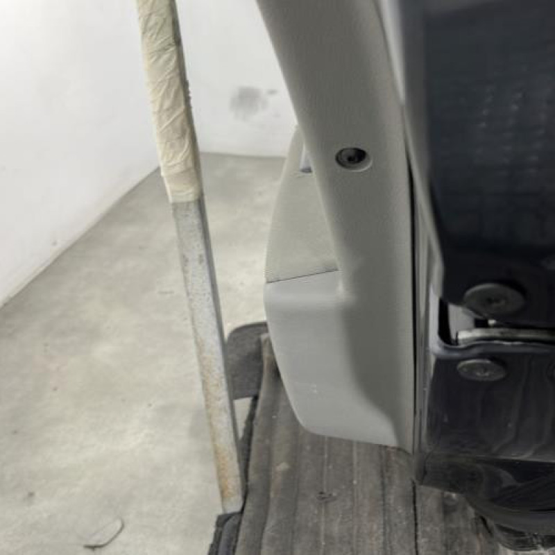 Porte arriere droit RENAULT MEGANE 3 Photo n°3