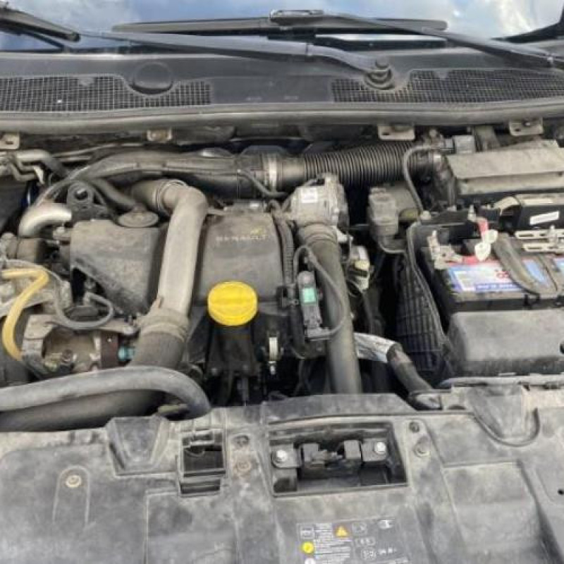 Porte arriere droit RENAULT MEGANE 3 Photo n°17