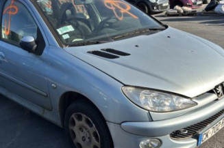Malle/Hayon arriere PEUGEOT 206