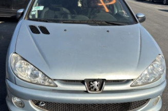 Malle/Hayon arriere PEUGEOT 206