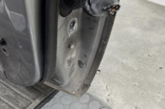 Porte avant gauche TOYOTA YARIS 1