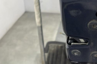 Porte arriere droit RENAULT GRAND SCENIC 2