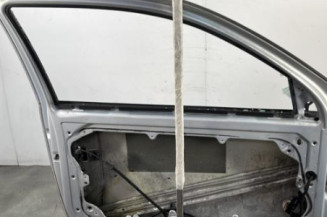 Porte avant gauche VOLKSWAGEN GOLF 4