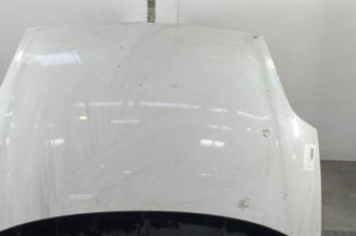 Capot FIAT GRANDE PUNTO Photo n°1