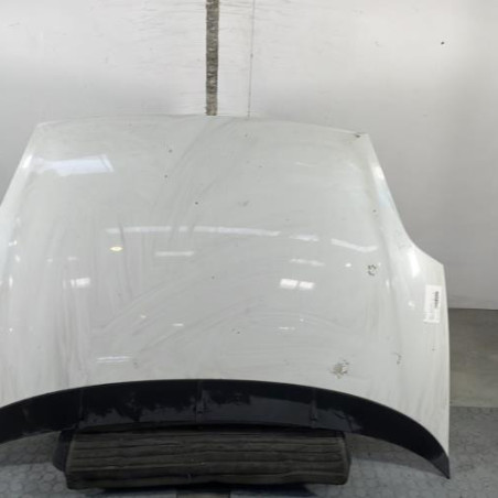 Capot FIAT GRANDE PUNTO Photo n°1